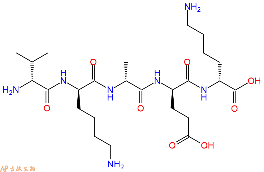 专肽生物产品H2N-DVal-DLys-DAla-DGlu-DLys-COOH
