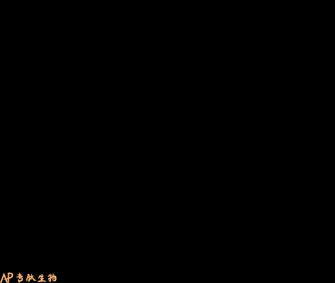 专肽生物产品H2N-Bip-DIle-DMet-COOH