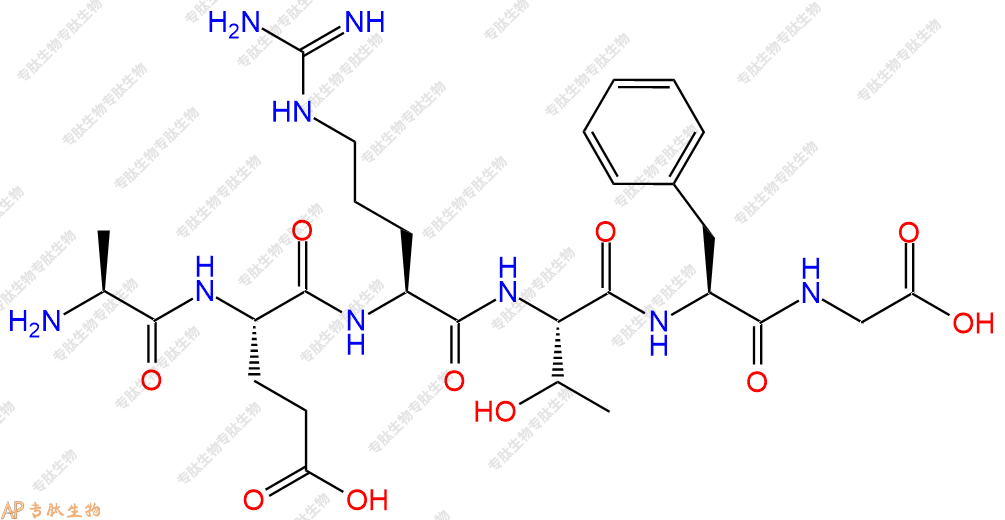 专肽生物产品H2N-Ala-Glu-Arg-Thr-Phe-Gly-COOH