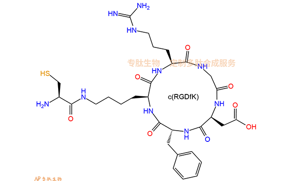 专肽生物产品c(RGD)环肽：cyclo{RGDfK(Cys)}、环状多肽c(RGDfK)-半胱氨酸