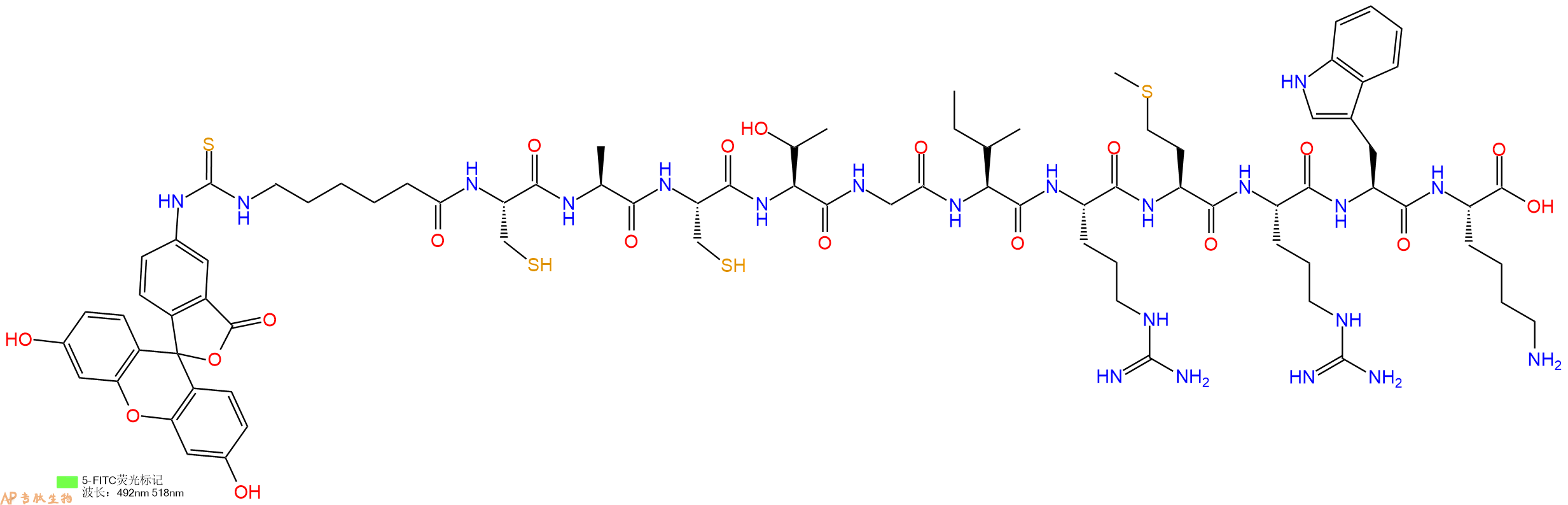 专肽生物产品5FITC-Ahx-Cys-Ala-Cys-Thr-Gly-Ile-Arg-Met-Arg-Trp-