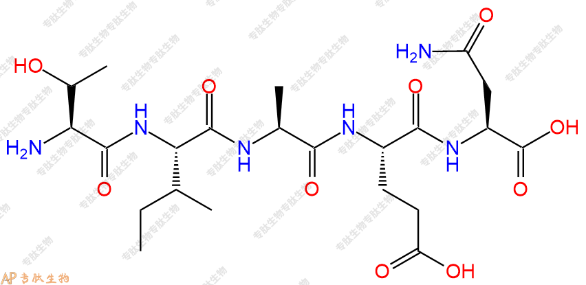 专肽生物产品H2N-Thr-Ile-Ala-Glu-Asn-COOH