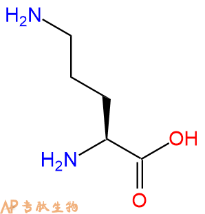专肽生物产品H2N-Orn-COOH