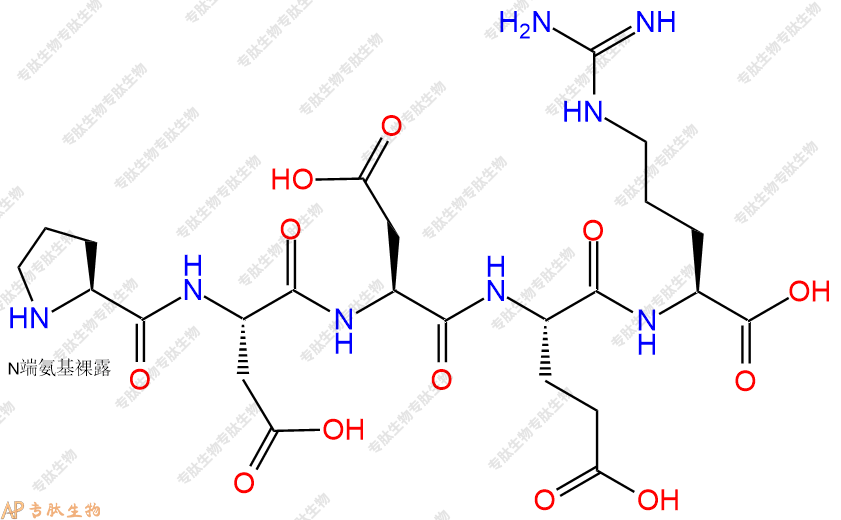 专肽生物产品H2N-Pro-Asp-Asp-Glu-Arg-COOH