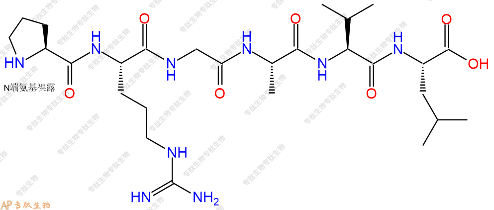专肽生物产品H2N-Pro-Arg-Gly-Ala-Val-Leu-COOH