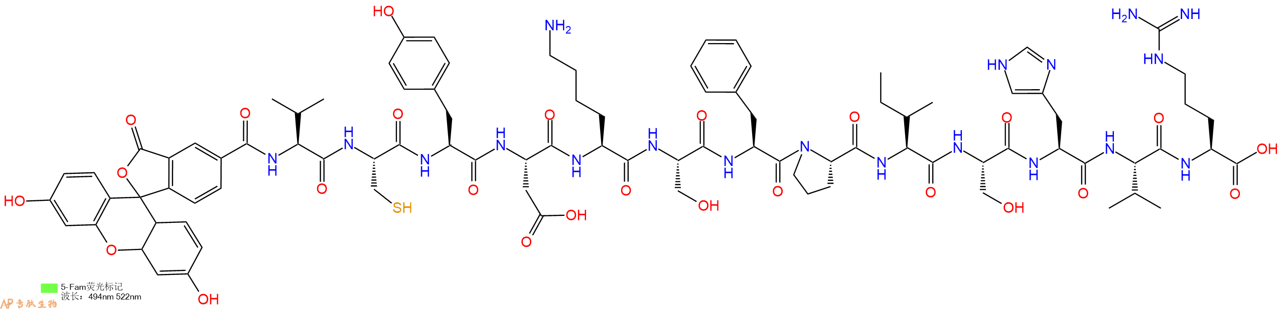 专肽生物产品5FAM-Val-Cys-Tyr-Asp-Lys-Ser-Phe-Pro-Ile-Ser-His-V