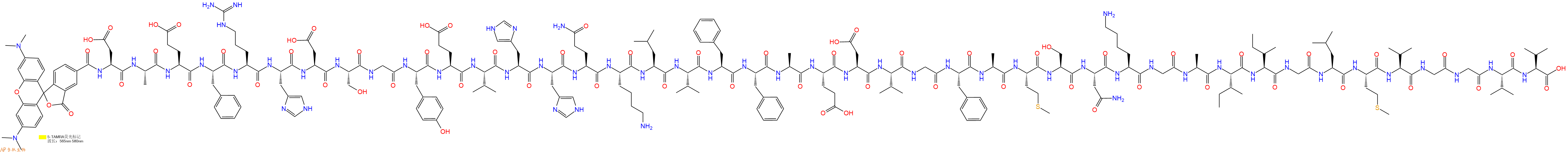 专肽生物产品5TAMRA-Asp-Ala-Glu-Phe-Arg-His-Asp-Ser-Gly-Tyr-Glu
