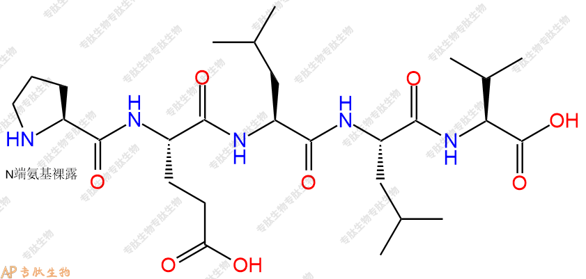 专肽生物产品H2N-Pro-Glu-Leu-Leu-Val-COOH
