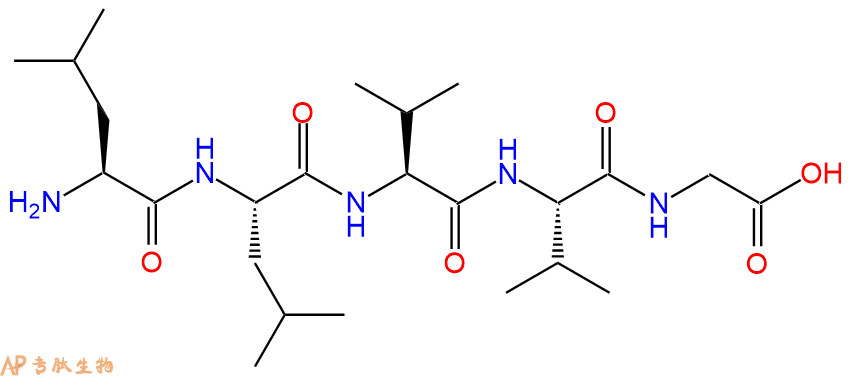 专肽生物产品H2N-Leu-Leu-Val-Val-Gly-COOH