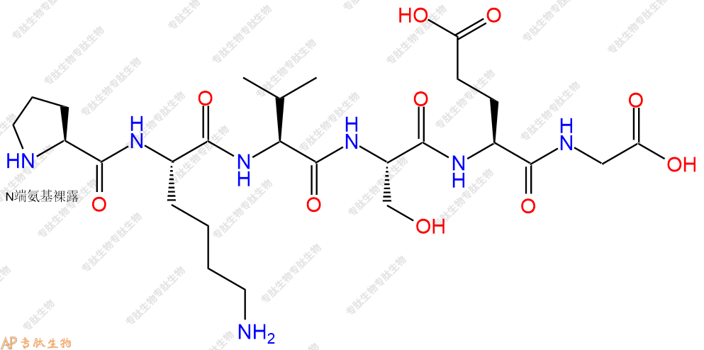 专肽生物产品H2N-Pro-Lys-Val-Ser-Glu-Gly-COOH