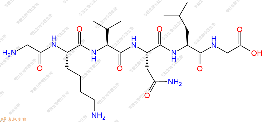 专肽生物产品H2N-Gly-Lys-Val-Asn-Leu-Gly-COOH