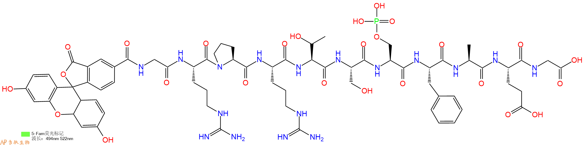 专肽生物产品5FAM-Gly-Arg-Pro-Arg-Thr-Ser-Ser(PO3H2)-Phe-Ala-Gl