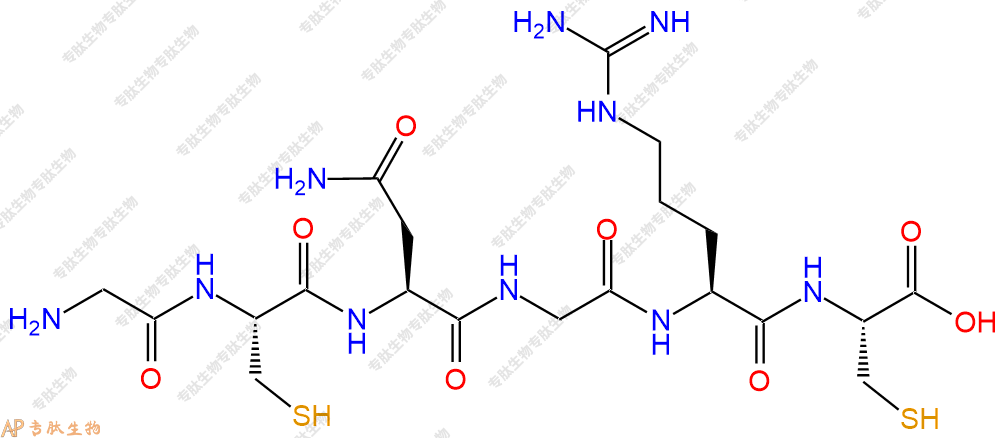 专肽生物产品H2N-Gly-Cys-Asn-Gly-Arg-Cys-COOH
