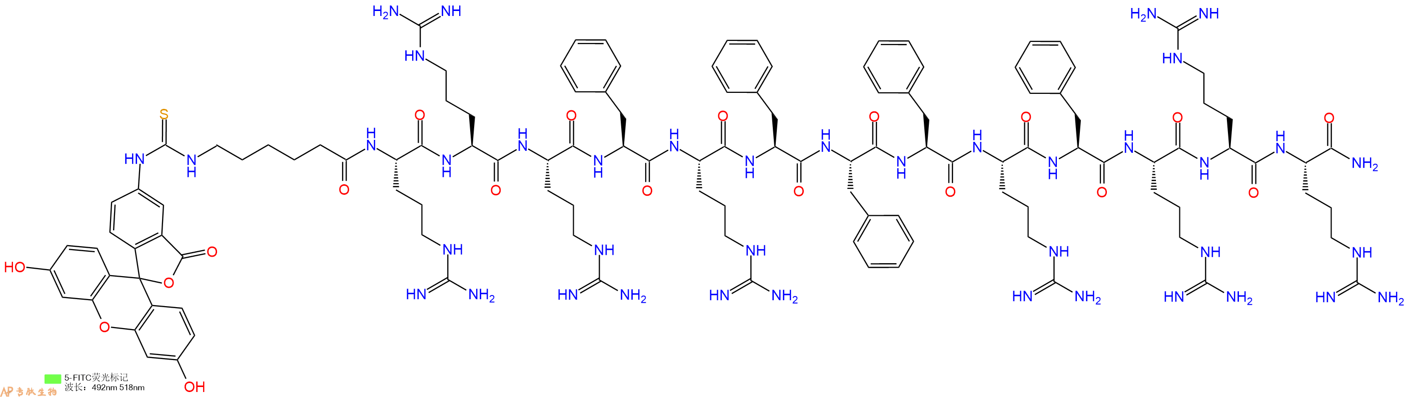 专肽生物产品5FITC-Ahx-Arg-Arg-Arg-Phe-Arg-Phe-Phe-Phe-Arg-Phe-