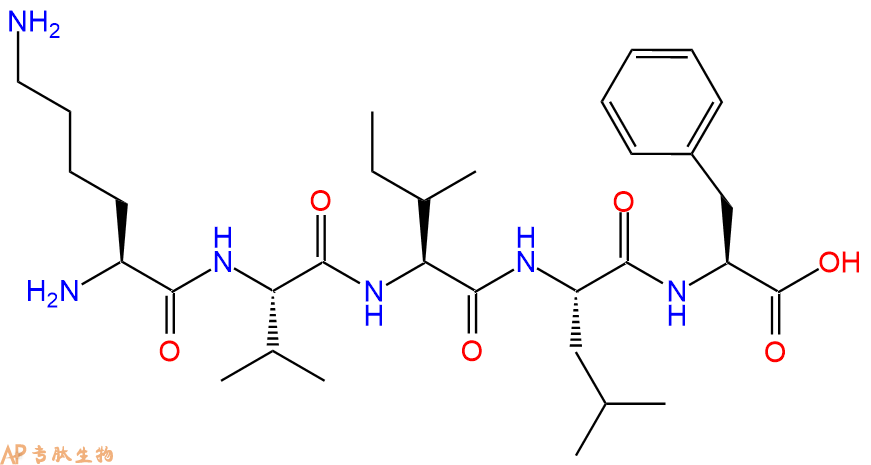 专肽生物产品Head activator (7-11)103404-59-7
