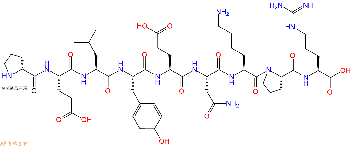 专肽生物产品H2N-DPro-Glu-Leu-Tyr-Glu-Asn-Lys-Pro-Arg-COOH