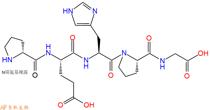 专肽生物产品H2N-DPro-Glu-His-Pro-Gly-COOH