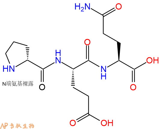 专肽生物产品H2N-DPro-Glu-Gln-COOH