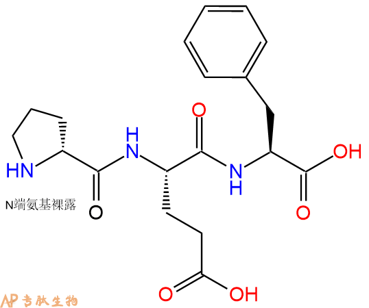 专肽生物产品H2N-DPro-Glu-Phe-COOH