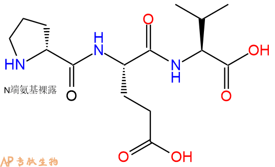 专肽生物产品H2N-DPro-Glu-Val-COOH