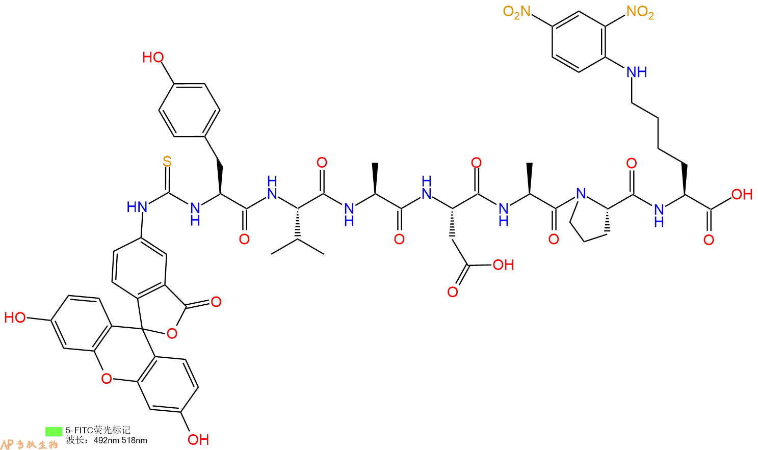 专肽生物产品5FITC-Tyr-Val-Ala-Asp-Ala-Pro-Lys(Dnp)-COOH