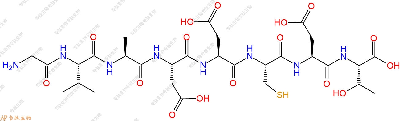 专肽生物产品H2N-Gly-Val-Ala-Asp-Asp-Cys-Asp-Thr-COOH