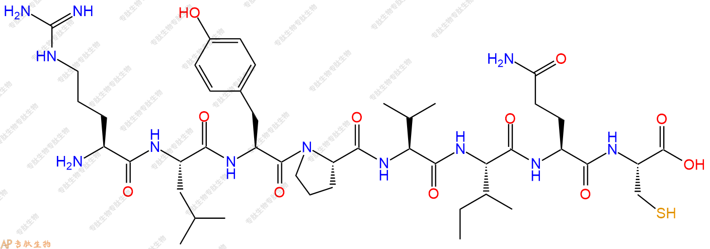 专肽生物产品H2N-Arg-Leu-Tyr-Pro-Val-Ile-Gln-Cys-COOH