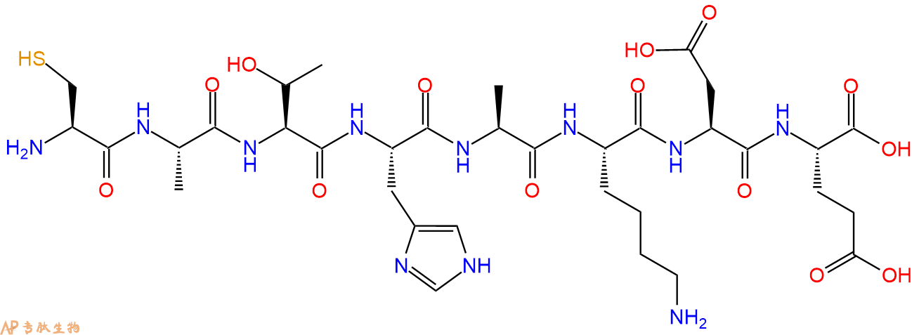 专肽生物产品H2N-Cys-Ala-Thr-His-Ala-Lys-Asp-Glu-COOH