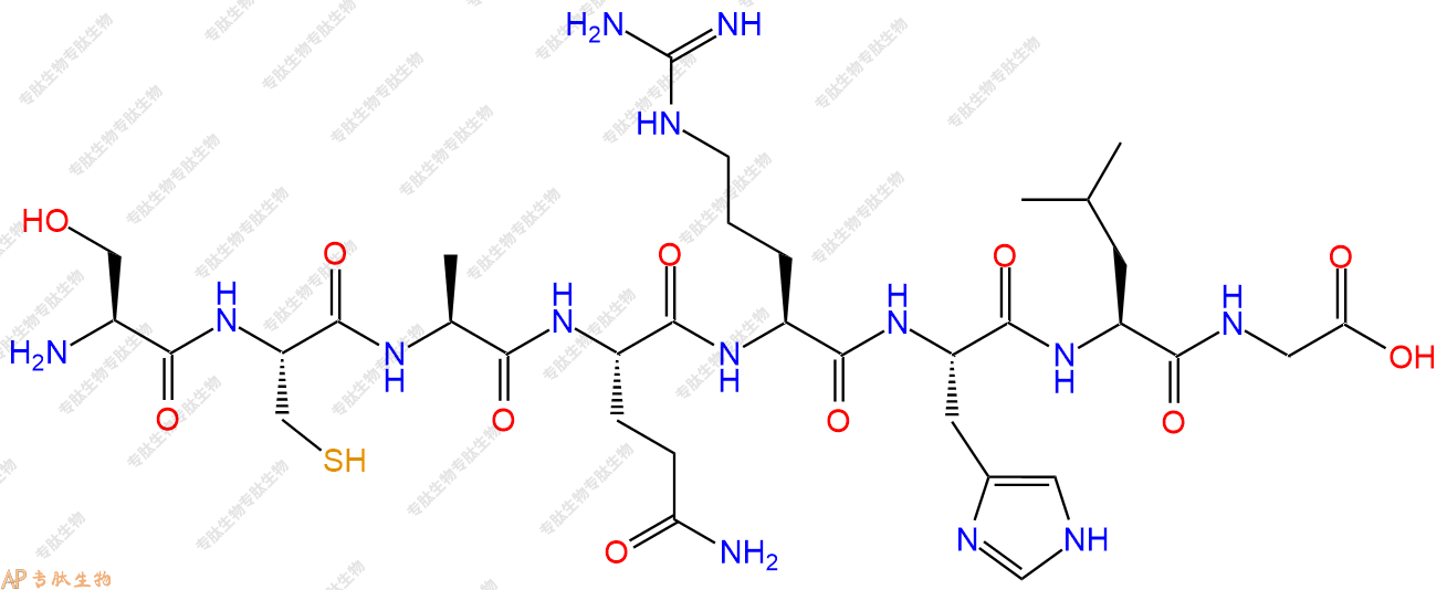 专肽生物产品H2N-Ser-Cys-Ala-Gln-Arg-His-Leu-Gly-COOH