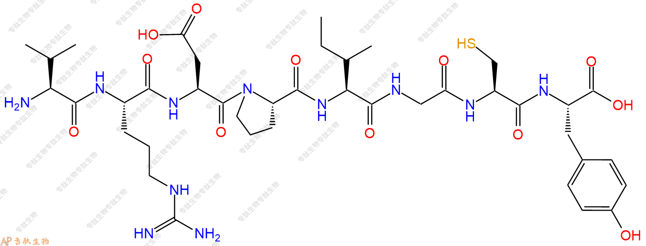 专肽生物产品H2N-Val-Arg-Asp-Pro-Ile-Gly-Cys-Tyr-COOH