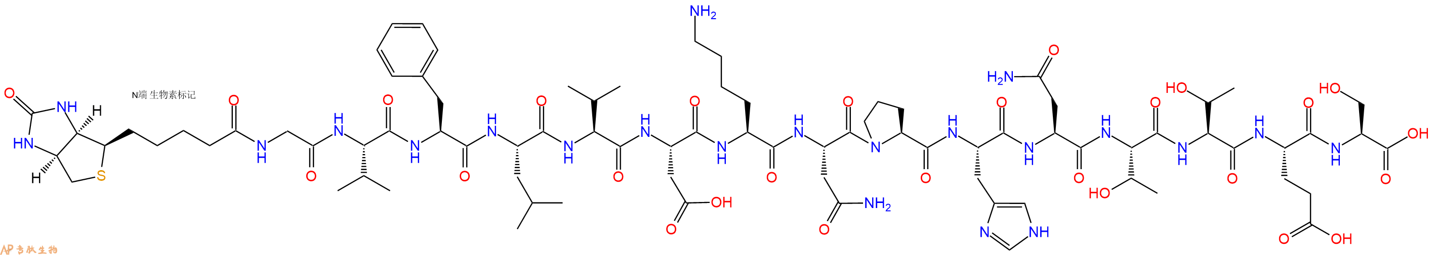 专肽生物产品Biotin-Gly-Val-Phe-Leu-Val-Asp-Lys-Asn-Pro-His-Asn