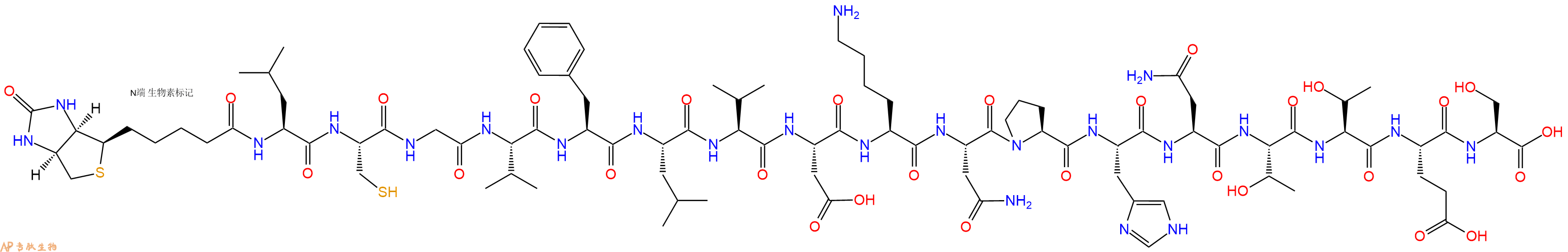 专肽生物产品Biotin-Leu-Cys-Gly-Val-Phe-Leu-Val-Asp-Lys-Asn-Pro