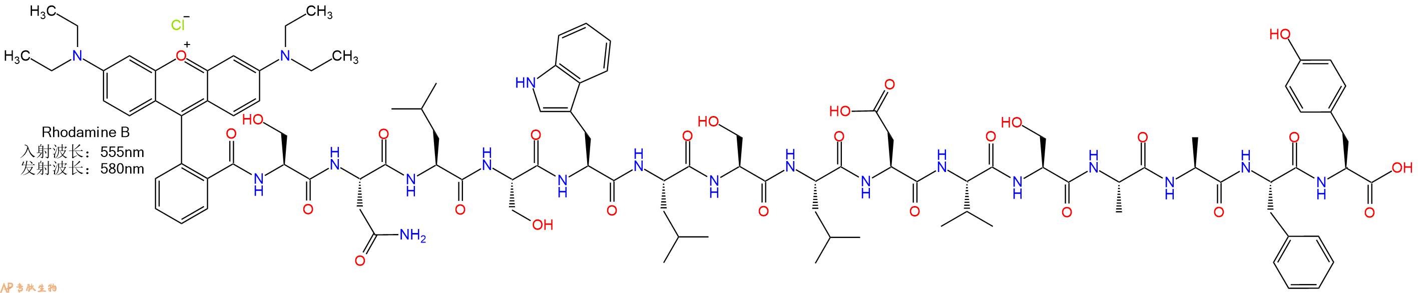 专肽生物产品RhodamineB-Ser-Asn-Leu-Ser-Trp-Leu-Ser-Leu-Asp-Val