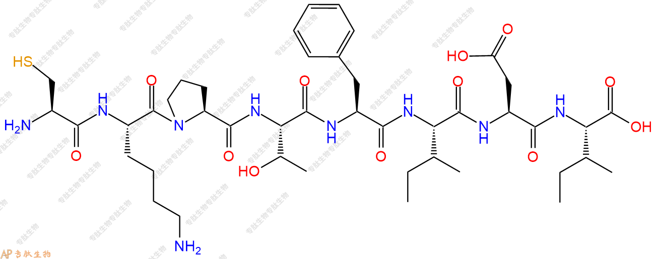 专肽生物产品H2N-Cys-Lys-Pro-Thr-Phe-Ile-Asp-Ile-COOH
