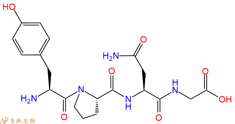 专肽生物产品H2N-Tyr-Pro-Asn-Gly-COOH
