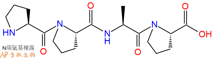 专肽生物产品H2N-Pro-Pro-Ala-Pro-COOH