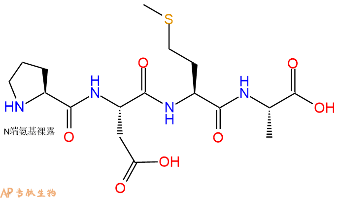 专肽生物产品H2N-Pro-Asp-Met-Ala-COOH