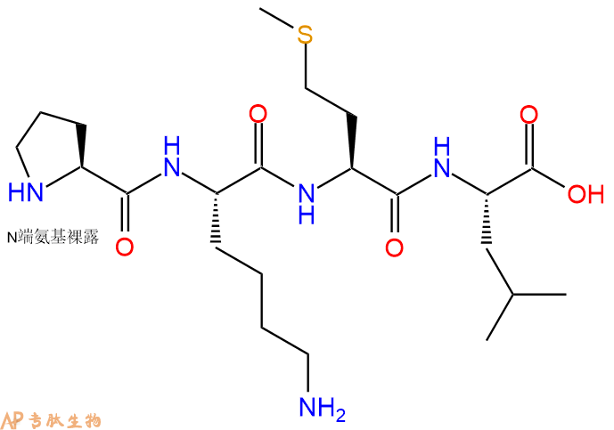 专肽生物产品H2N-Pro-Lys-Met-Leu-COOH