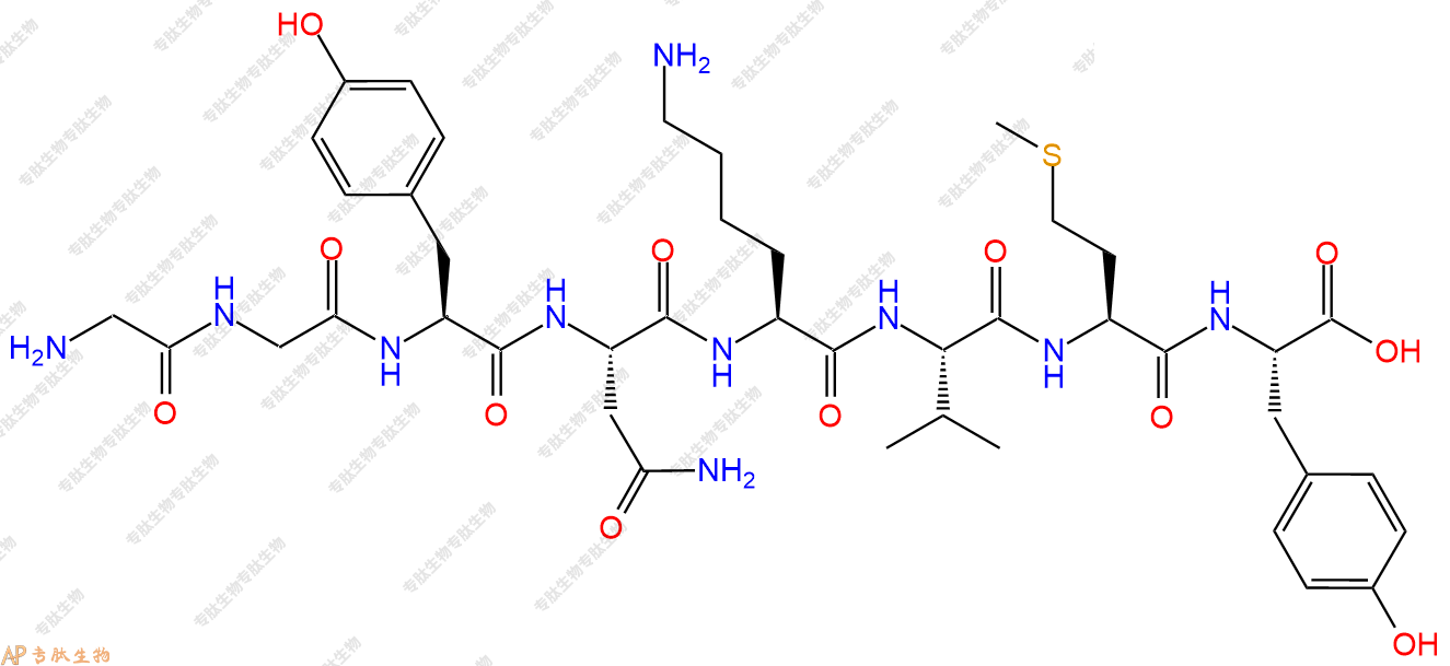 专肽生物产品H2N-Gly-Gly-Tyr-Asn-Lys-Val-Met-Tyr-COOH
