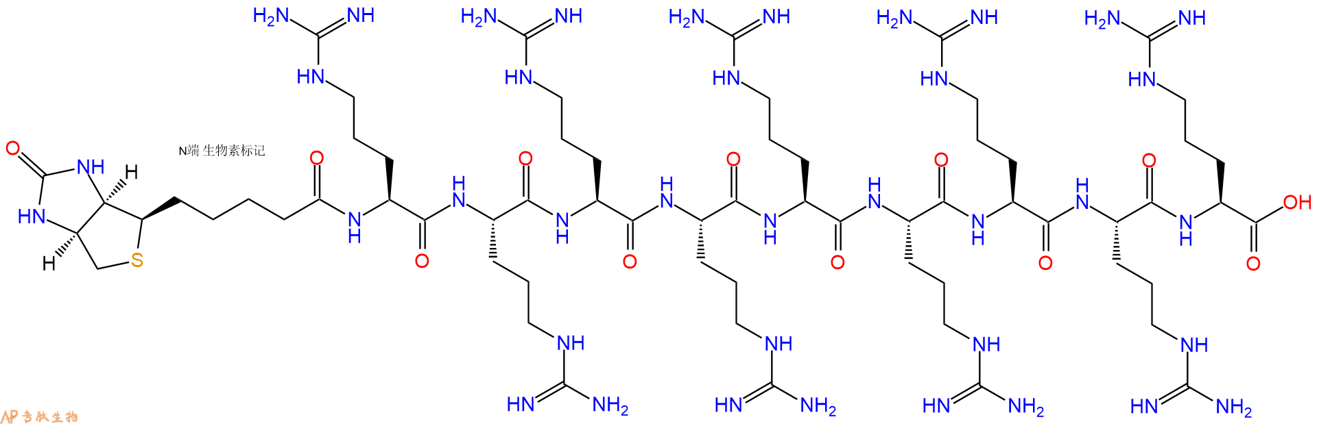 专肽生物产品Biotin-Arg-Arg-Arg-Arg-Arg-Arg-Arg-Arg-Arg-COOH