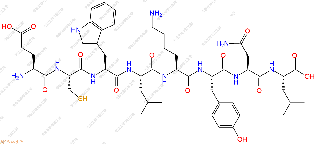 专肽生物产品H2N-Glu-Cys-Trp-Leu-Lys-Tyr-Asn-Leu-COOH