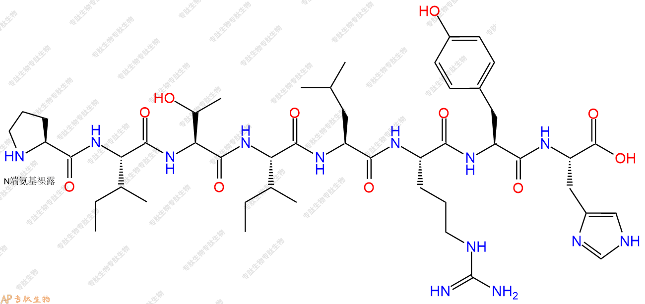 专肽生物产品H2N-Pro-Ile-Thr-Ile-Leu-Arg-Tyr-His-COOH