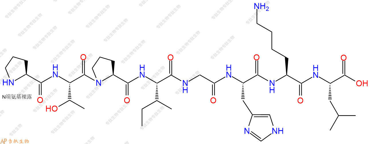 专肽生物产品H2N-Pro-Thr-Pro-Ile-Gly-His-Lys-Leu-COOH