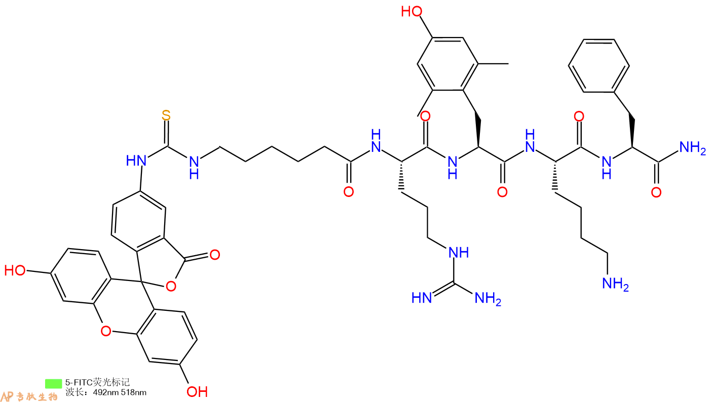专肽生物产品5FITC-Ahx-Arg-Dmt-Lys-Phe-NH2