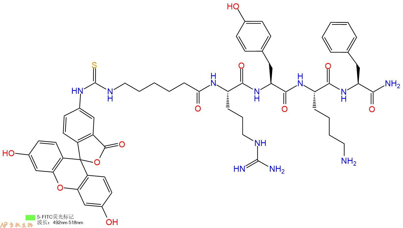 专肽生物产品5FITC-Ahx-Arg-Tyr-Lys-Phe-NH2