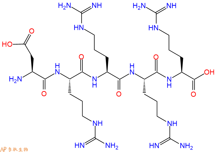专肽生物产品H2N-Asp-Arg-Arg-Arg-Arg-COOH