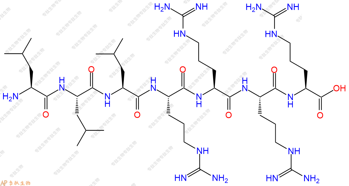 专肽生物产品H2N-Leu-Leu-Leu-Arg-Arg-Arg-Arg-COOH