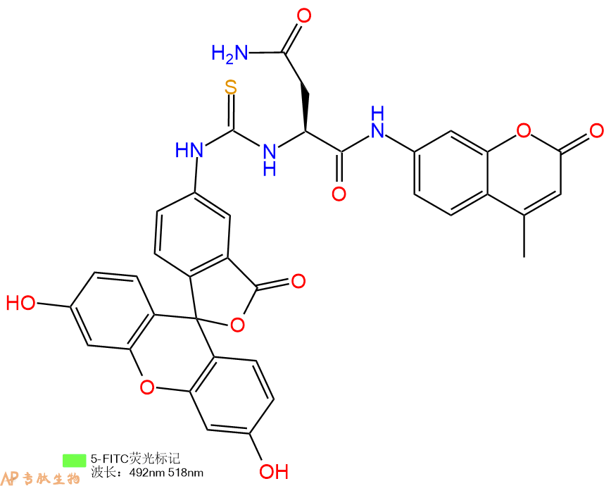 专肽生物产品5FITC-Asn-AMC