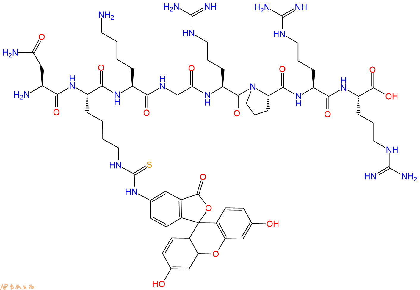专肽生物产品H2N-Asn-Lys(Fitc)-Lys-Gly-Arg-Pro-Arg-Arg-COOH