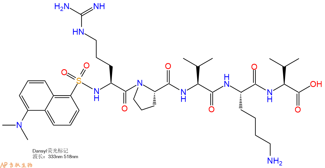 专肽生物产品Dansyl-Arg-Pro-Val-Lys-Val-COOH
